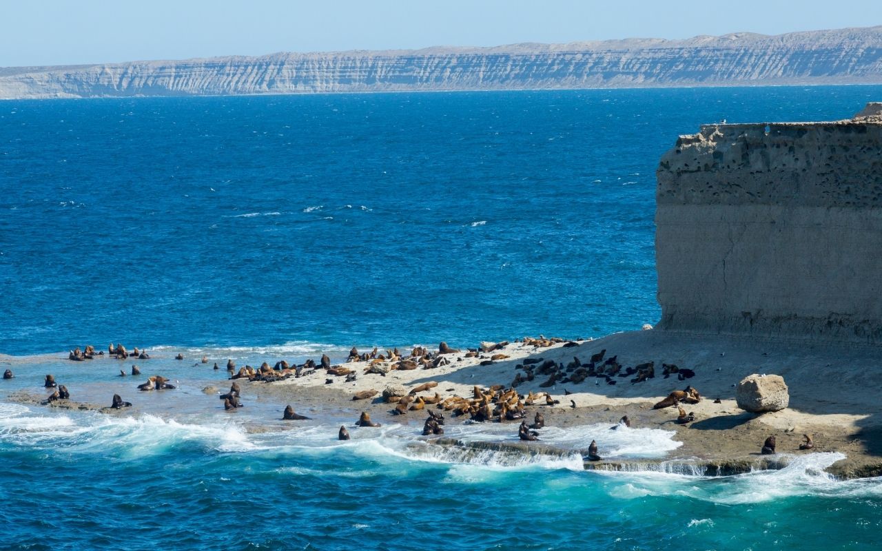 Puerto Madryn