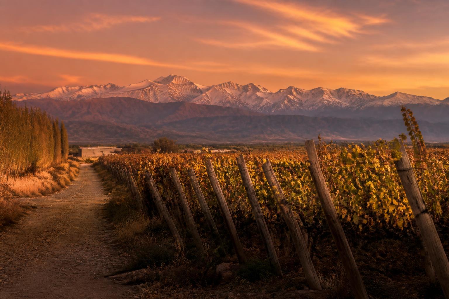 Mendoza, vinos y montañas